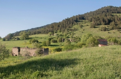 Village