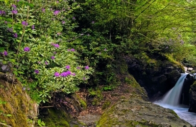 Gvalashara canyon
