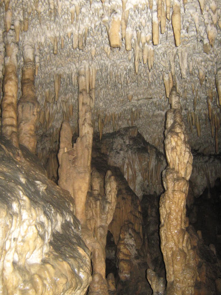 ნავენახევის მღვიმის ბუნების ძეგლი
