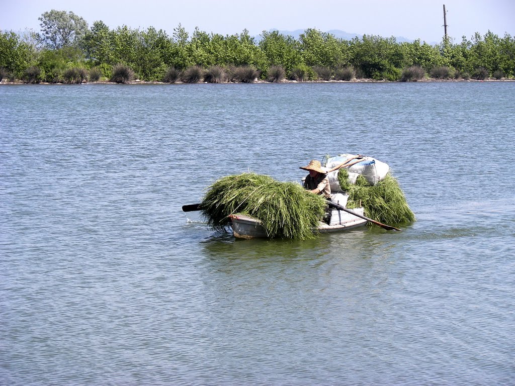 Paliastomi lake