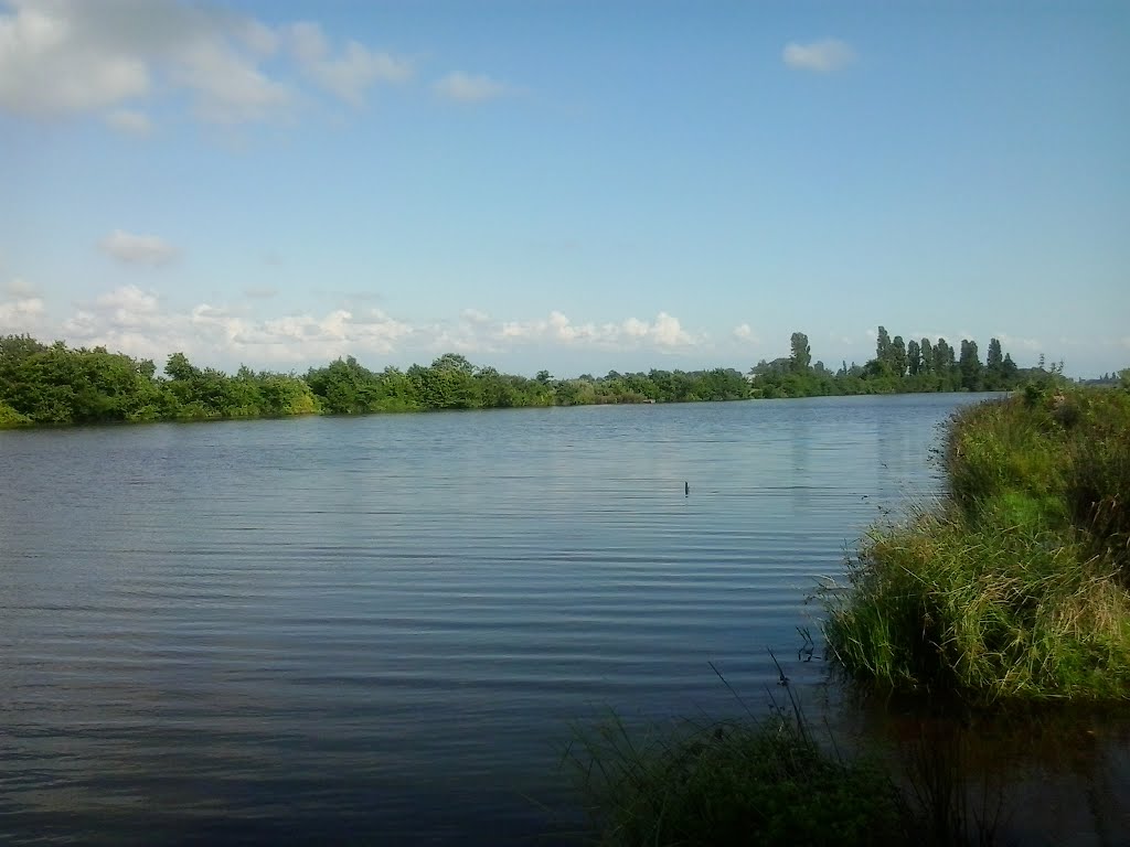 Paliastomi lake