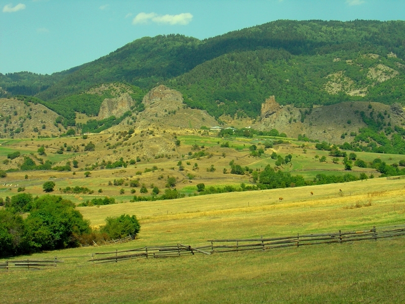 პატარა ზანავი