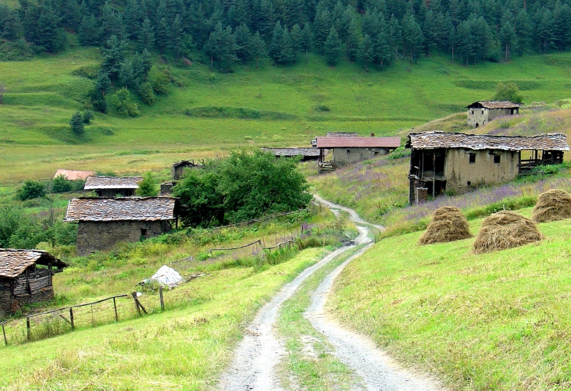 შენაქო