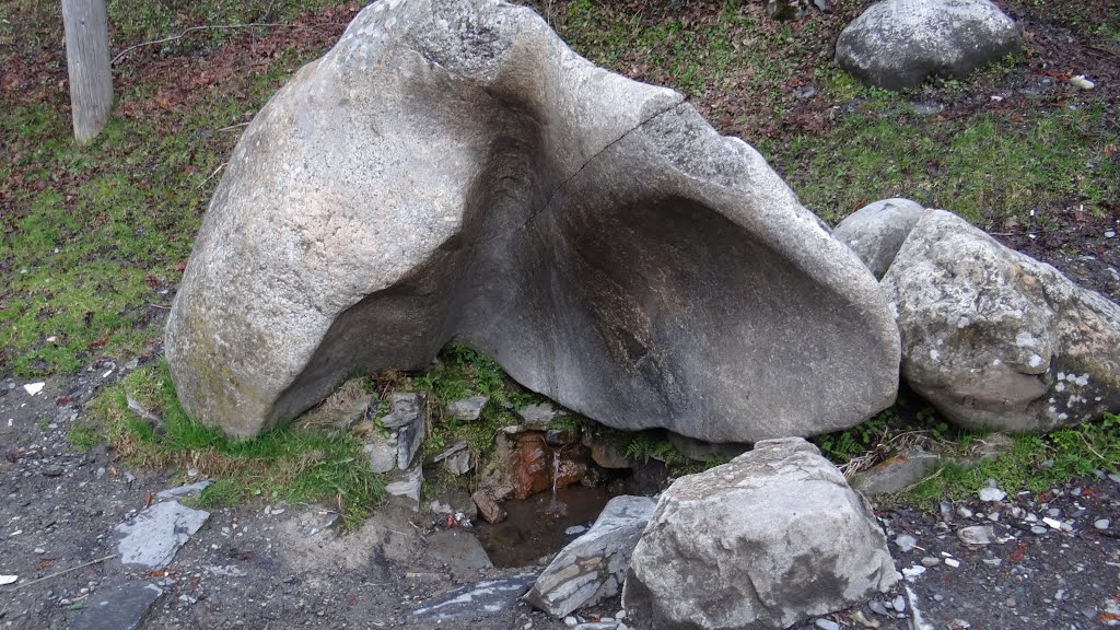 შგედის წყარო