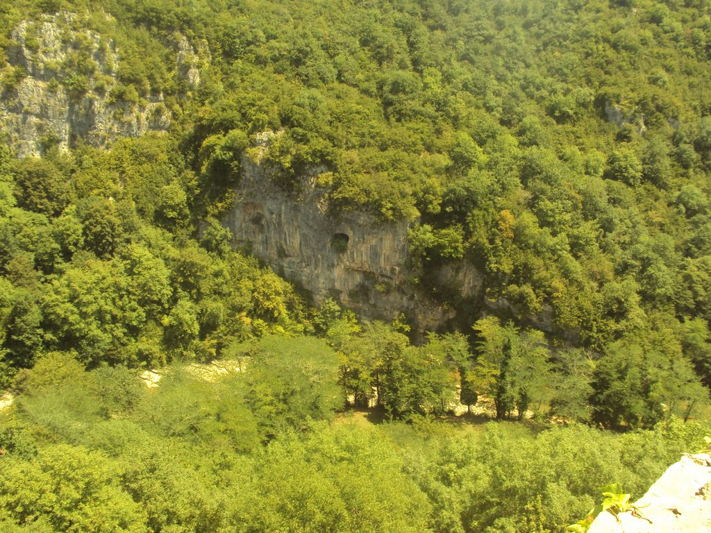 წყალწითელას ხეობის ბუნების ძეგლი