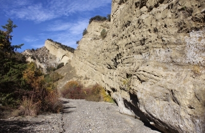 სხვადასხვა